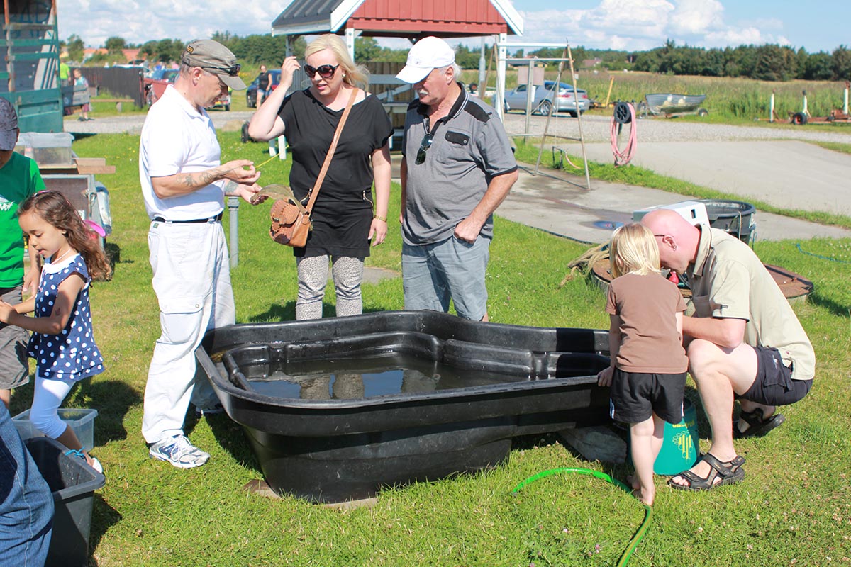 Voerså tildelt ”Vild med Vand” arrangement Voerså tildelt ”Vild med Vand” arrangement