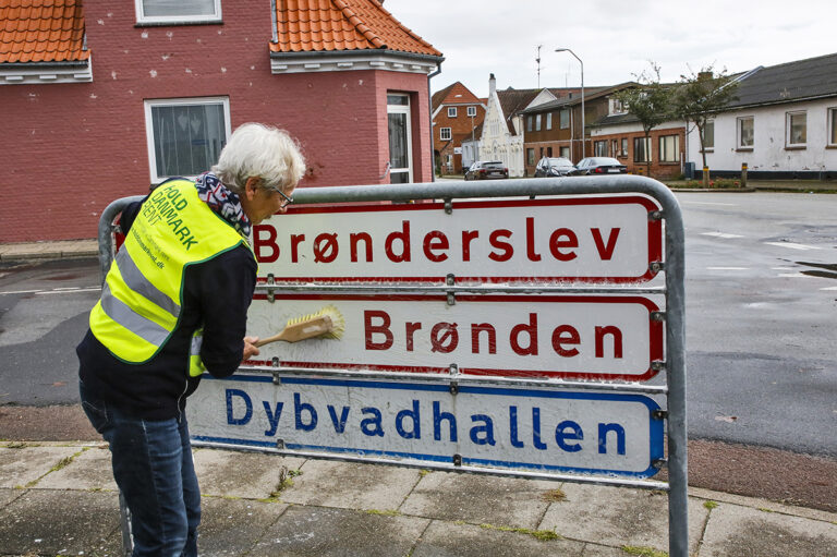 Det grønne hold – et nyt tiltag fra Dybvad Borgerforening