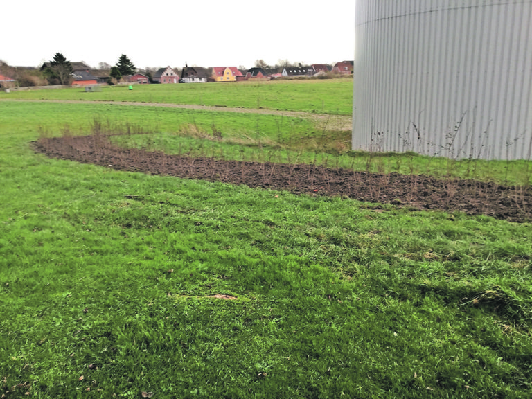 Beplantning og for­skønnelse i Dybvad By