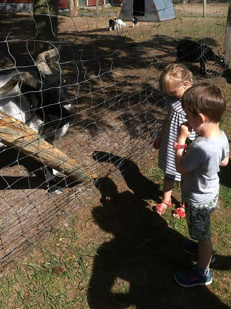 Familie Farm Fun hos de private dagplejere