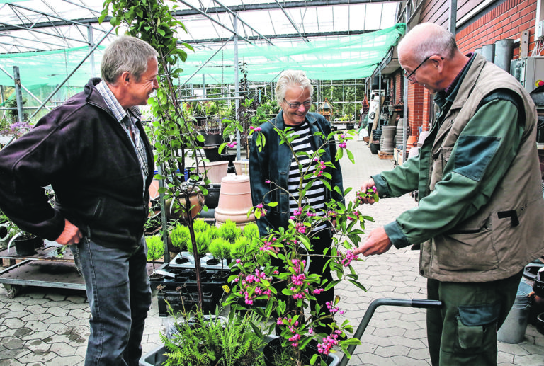 Havens Dag i Dybvad Planteskole