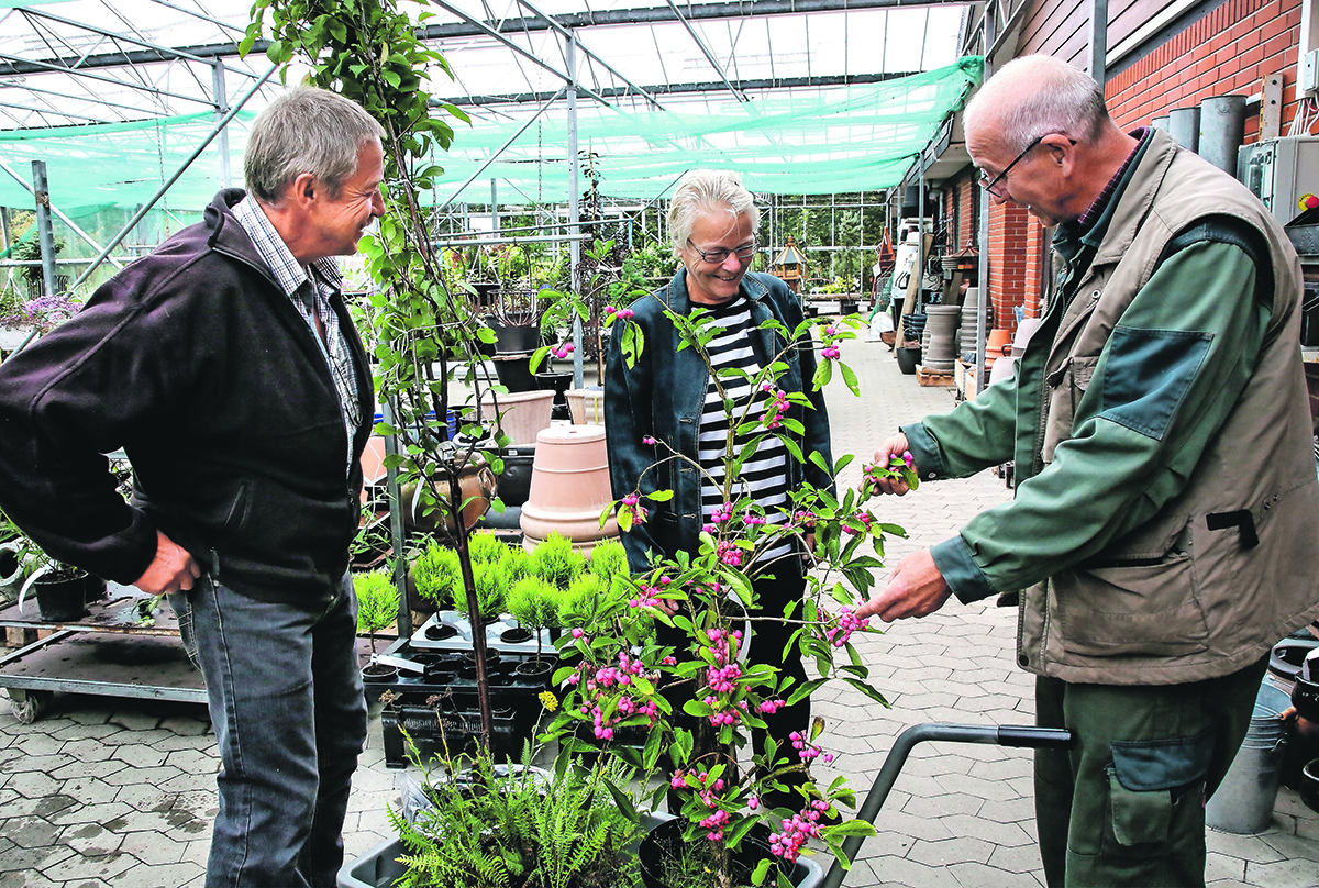 Havens Dag i Dybvad Planteskole Havens Dag i Dybvad Planteskole