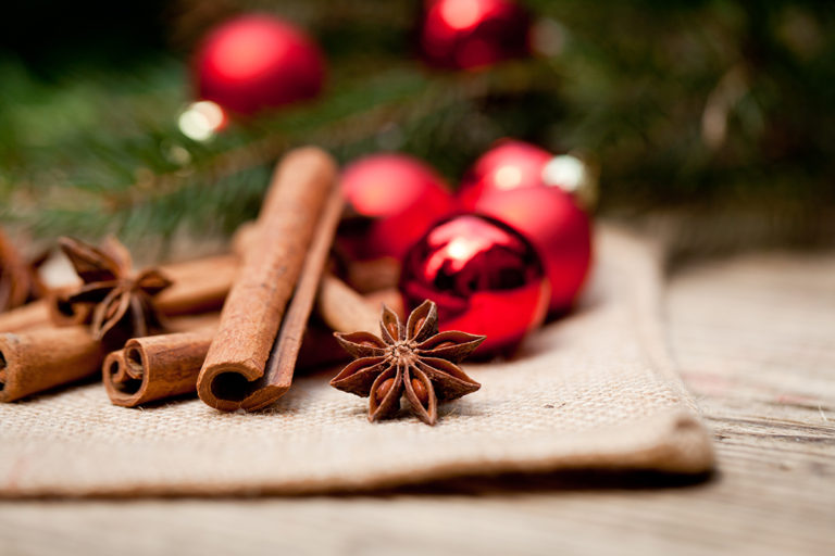Julefest hos den kommunale dagpleje