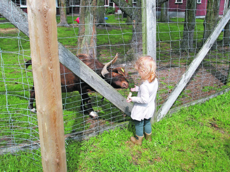 Familietur til Farm Fun