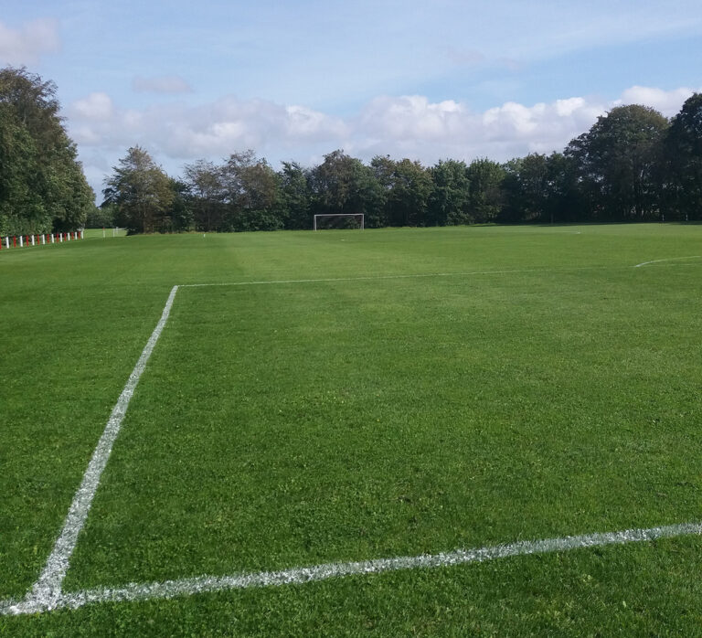 Ugens FIF og DHF fodboldresultater