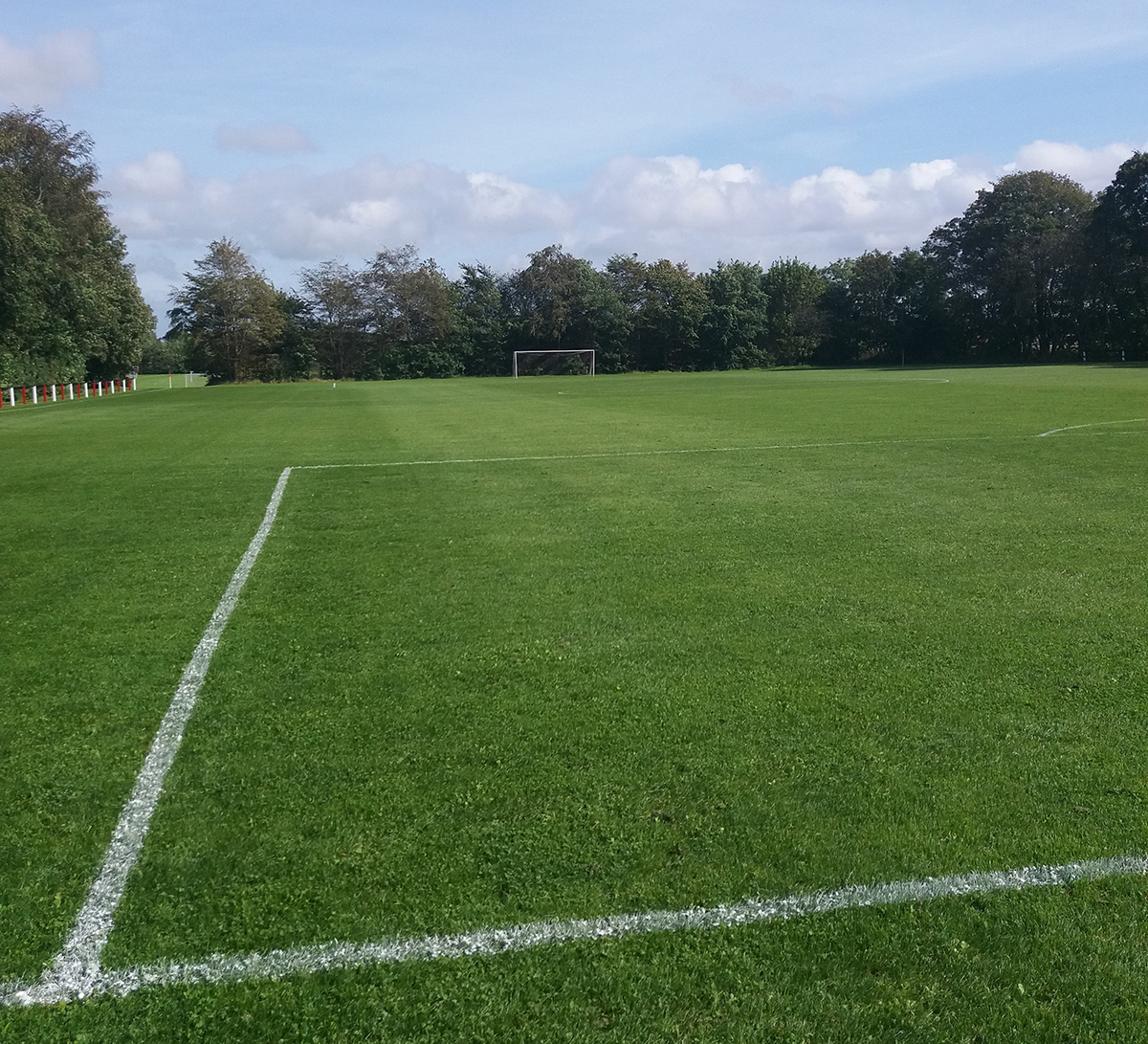 Ugens FIF og DHF fodboldresultater Ugens FIF og DHF fodboldresultater