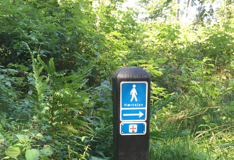 Ny guide til naturoplevelser til fods, på cykel eller til hest
