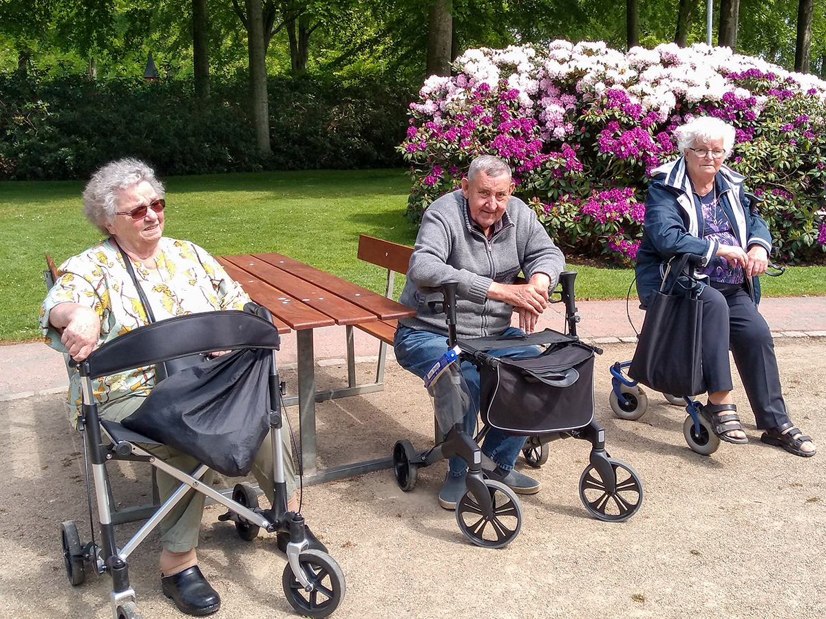 Farverig bustur til Rododendronparken Farverig bustur til Rododendronparken