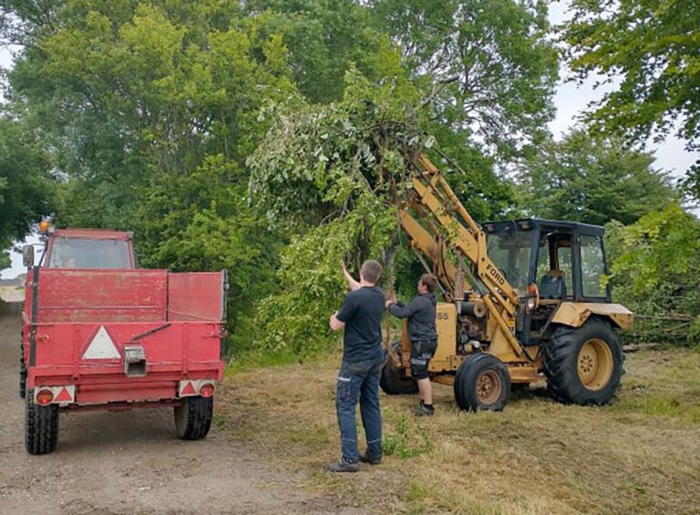 Biodiversiteten får frit spil i nyt Thorshøj-projekt
