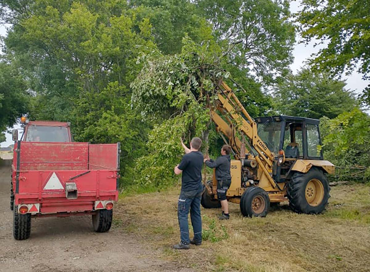 Biodiversiteten får frit spil i nyt Thorshøj-projekt Biodiversiteten får frit spil i nyt Thorshøj-projekt