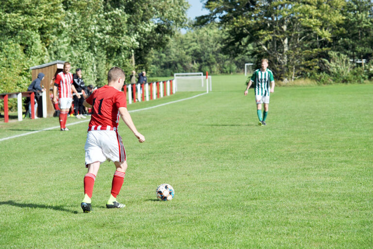 Ugens fodboldresultater
