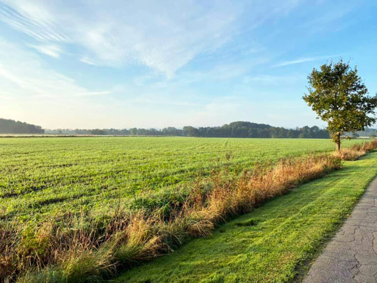 Solcellepark ved Voergaard – NEJ TAK