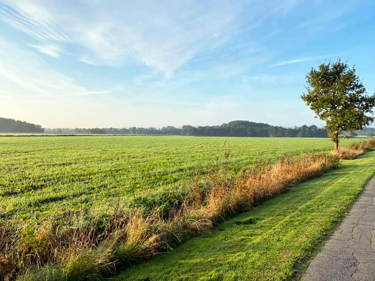 Solcellepark ved Voergaard – NEJ TAK Solcellepark ved Voergaard – NEJ TAK