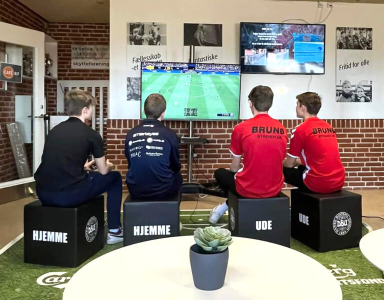 Regionsmestre i eFodbold