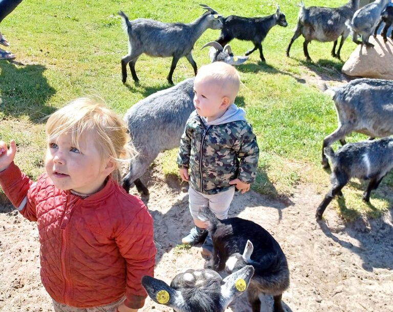 Vellykket tur til Farm Fun for hele familien