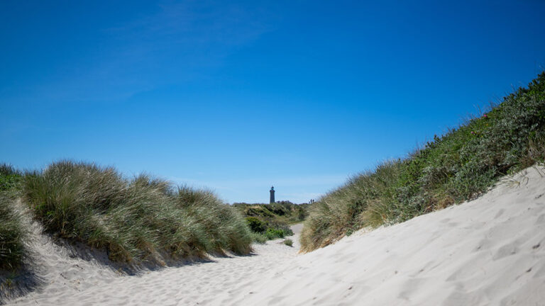 Historien om Skagen: Vores dejlige feriedestination&nbsp;