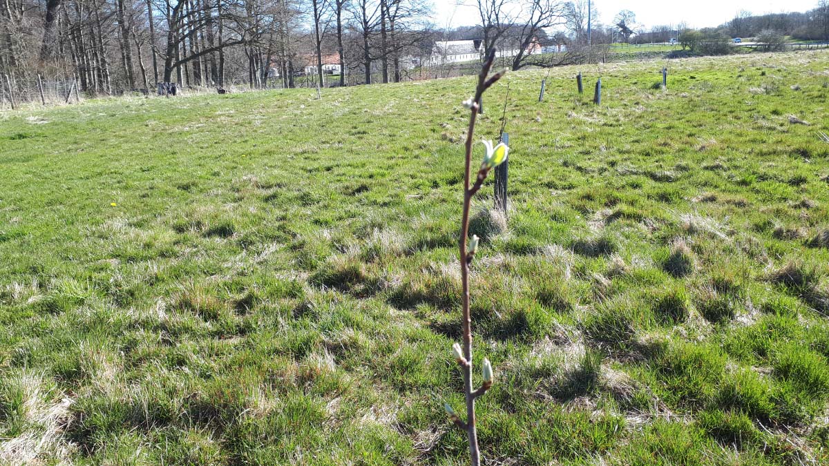 Podekursus på Knivholt Podekursus på Knivholt