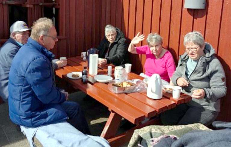 På jagt efter udsprungne bøgeblade