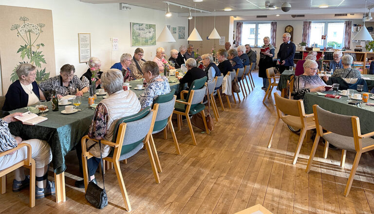 Festlig spis sammen i Aktivitetscenter med Ældre Sagen