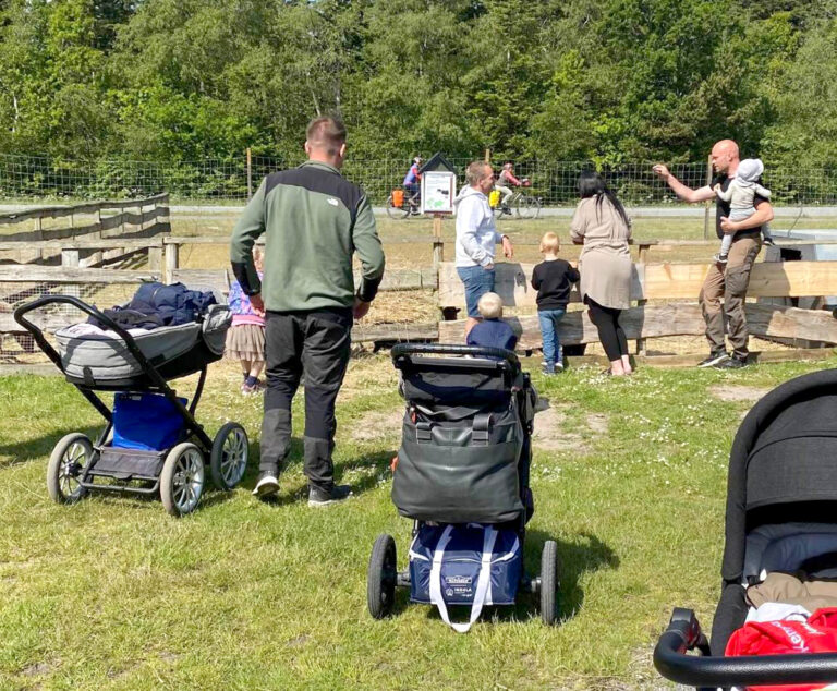 På familietur med De Private Pasningsordninger
