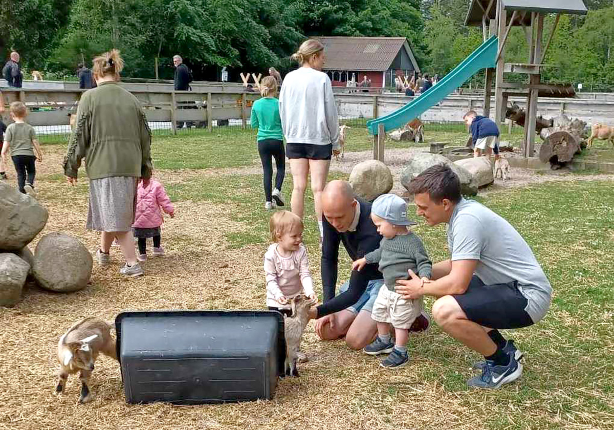Svært at vælge mellem alle favoritterne i Farm Fun Svært at vælge mellem alle favoritterne i Farm Fun