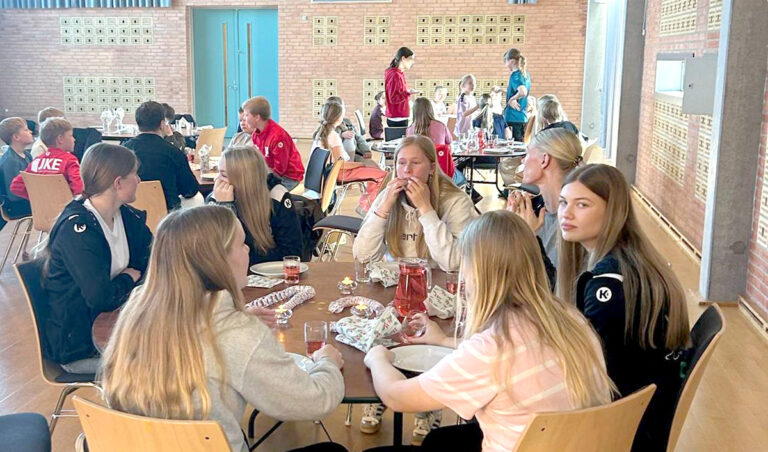 Hyggelig ungdomsafslutning på en succesfuld håndboldsæson