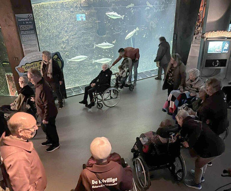 En dag, hvor alt gik i fisk – på den gode måde
