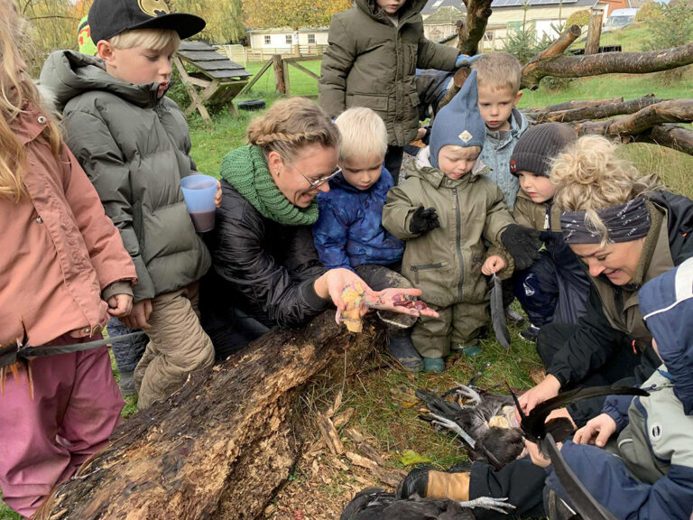 Bødkergården markerer efteråret med lys, fællesskab og læring