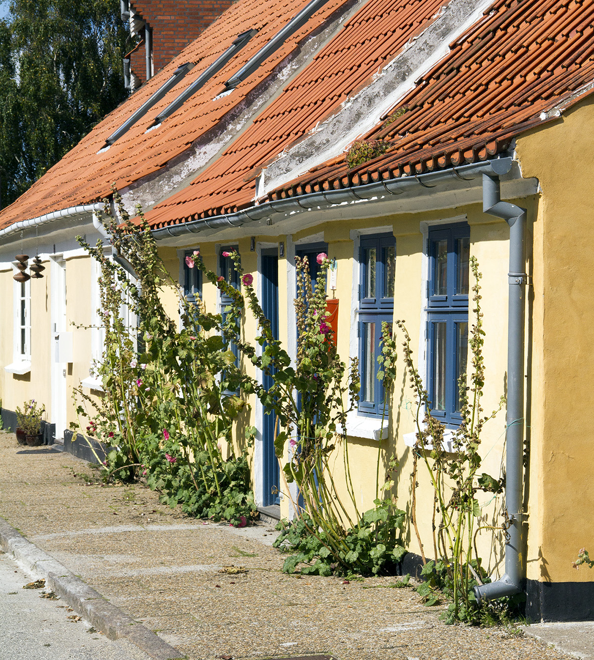 Museumsrundvisning i Sæby Museumsrundvisning i Sæby