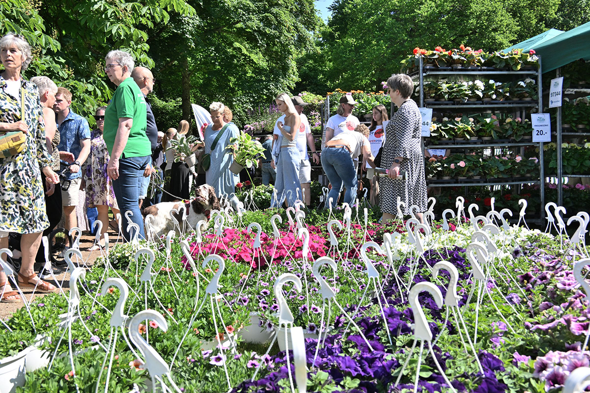 Bangsbo Blomsterfestival byder på fest og familiehygge Bangsbo Blomsterfestival byder på fest og familiehygge