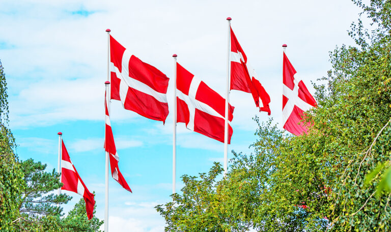 Grundlovsmøde i Sæby sætter fokus på demokratiets udfordringer