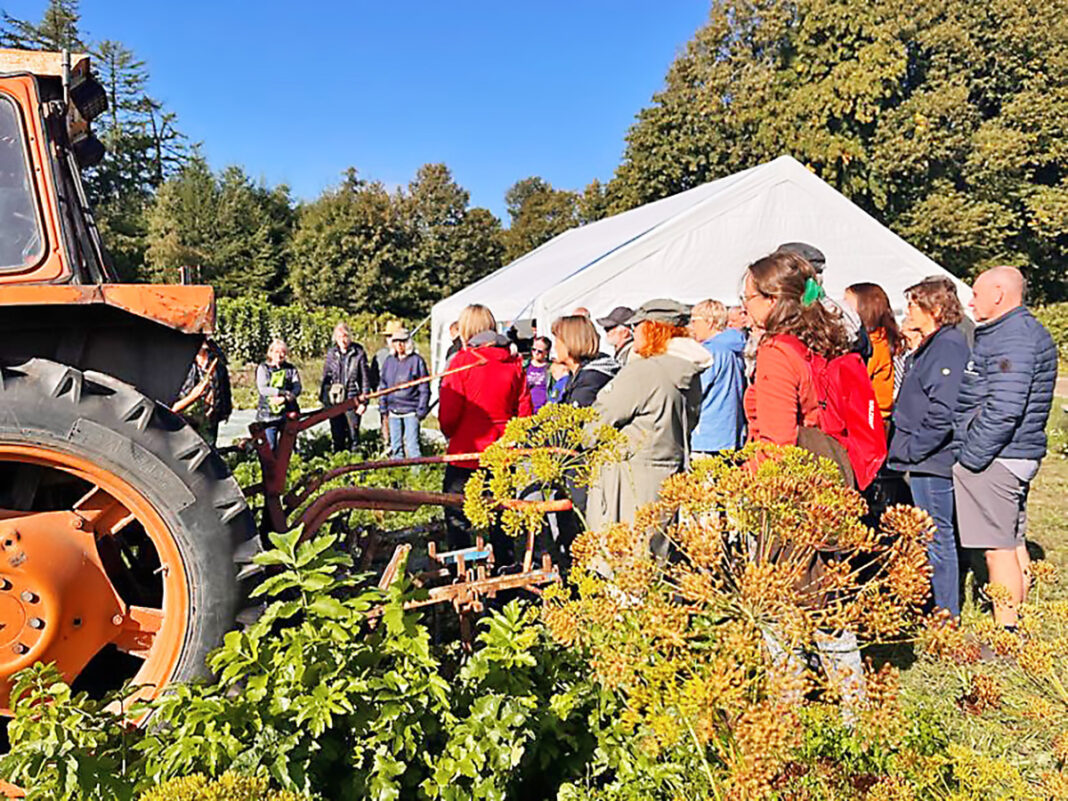 Rodfrugtfestival trak mange gæster – og bød måske på botanisk sensation Rodfrugtfestival trak mange gæster – og bød måske på botanisk sensation