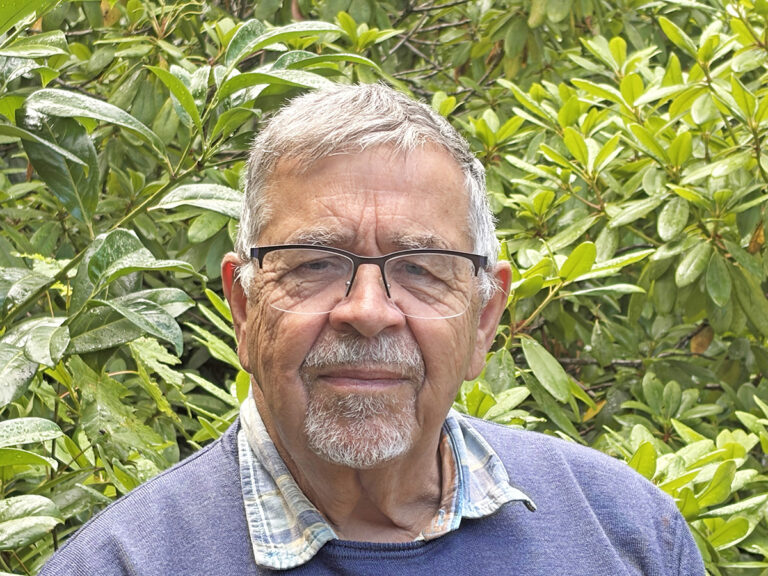 Politiske mord og henrettelser